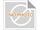 Glod Aluminum Housed Power Wirewound Resistor RX24 250w 10 Омм 5%